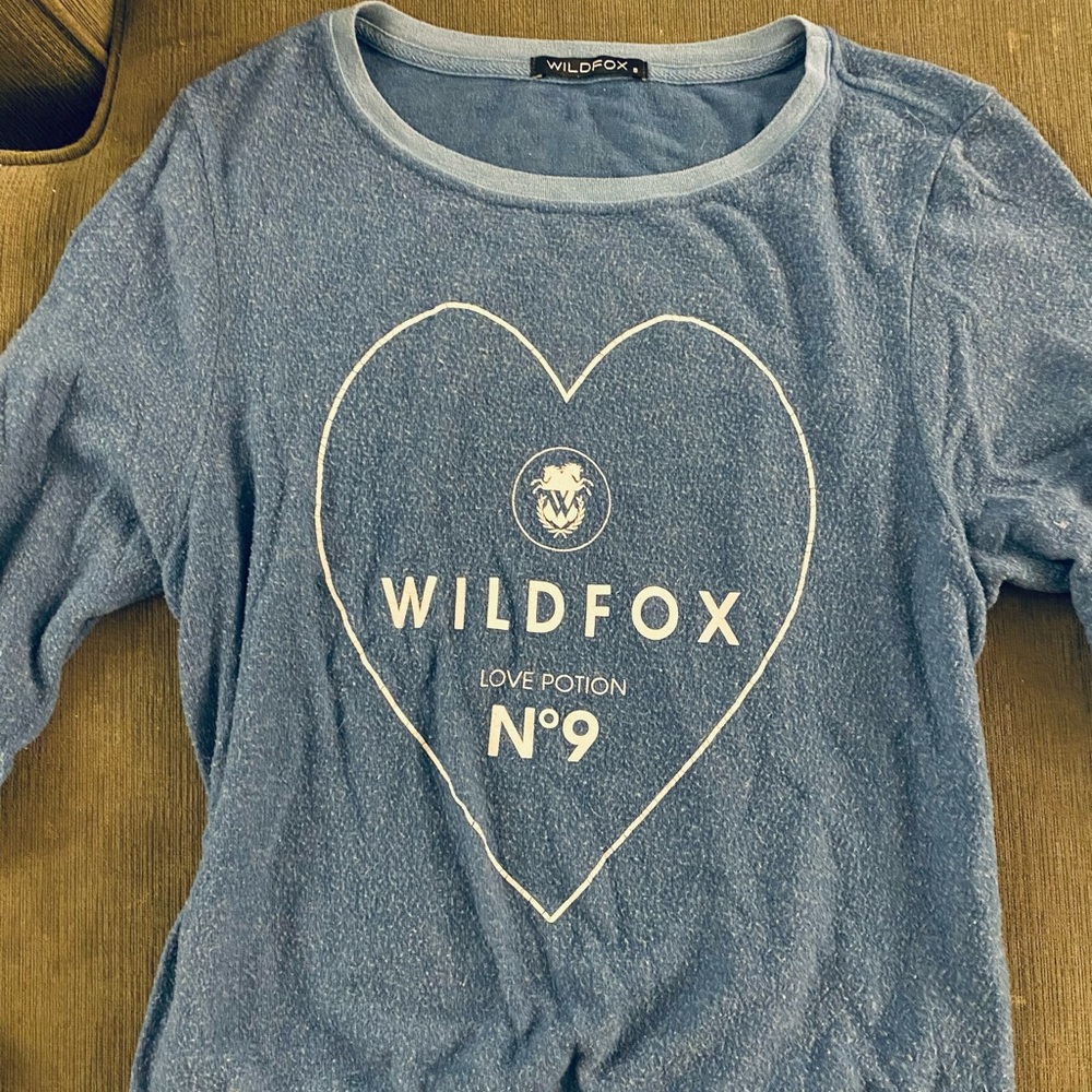 Blue Wildfox Sweater.